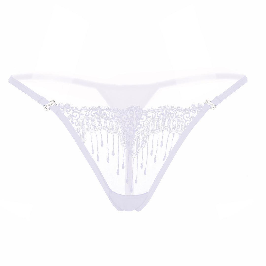 Sheer Embroidered Mesh Thong
