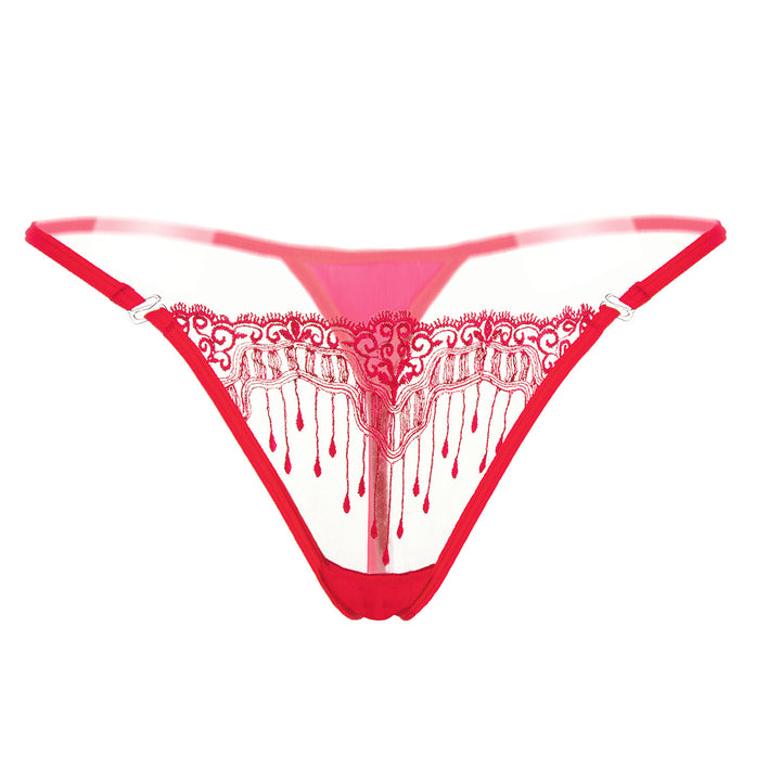 Sheer Embroidered Mesh Thong