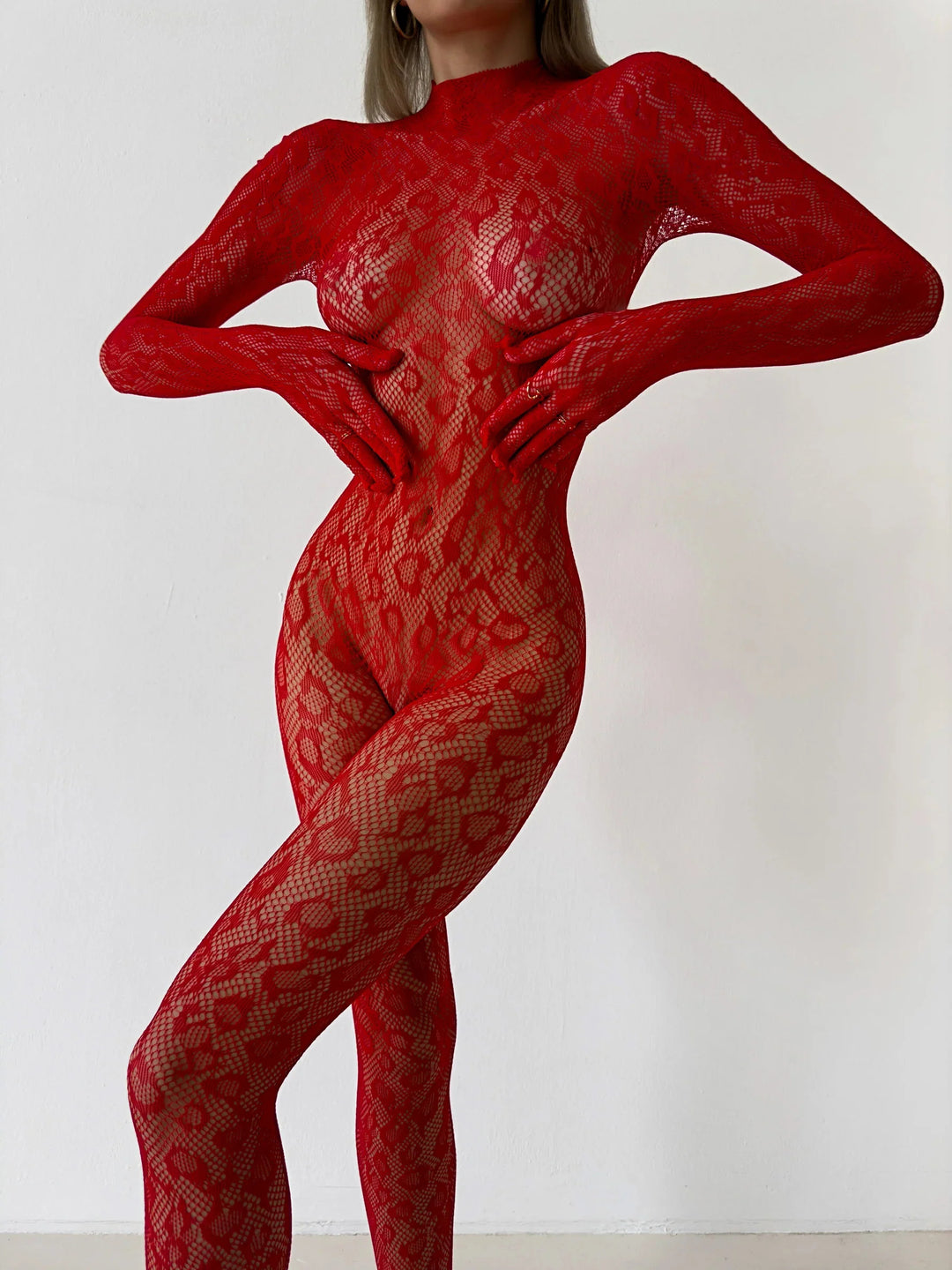 Sheer Fishnet Bodysuit