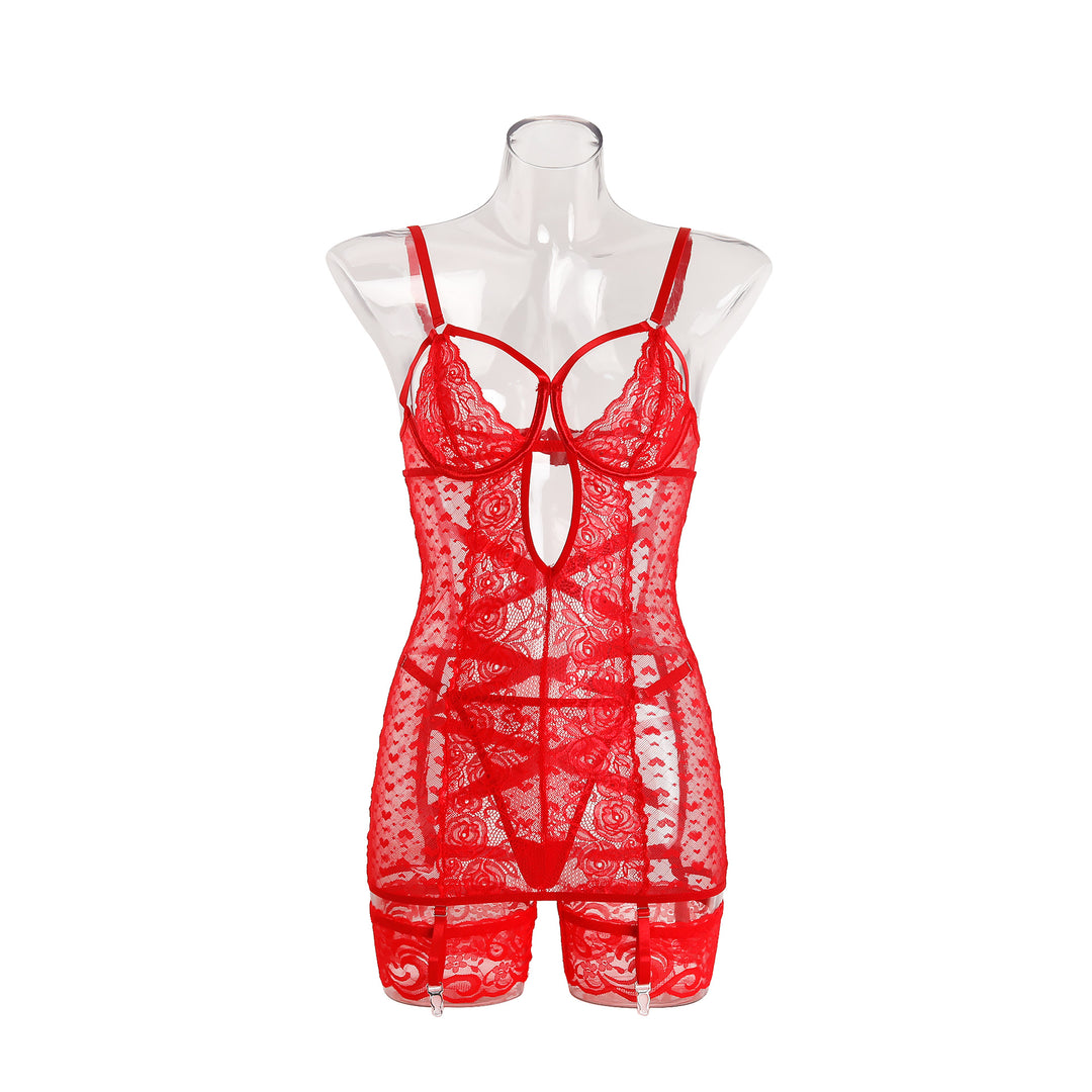 Lace Embroidered Sheer Garter Slip Set