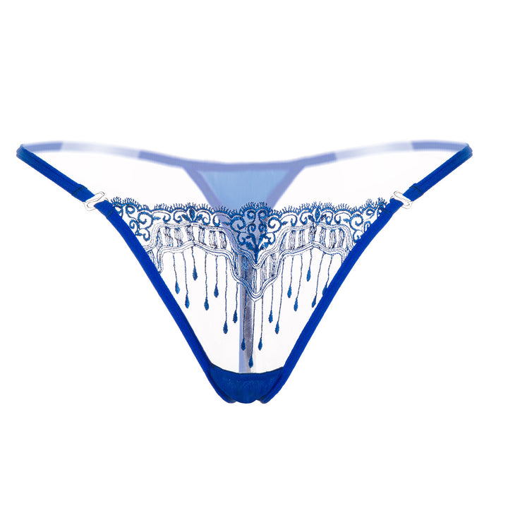 Sheer Embroidered Mesh Thong