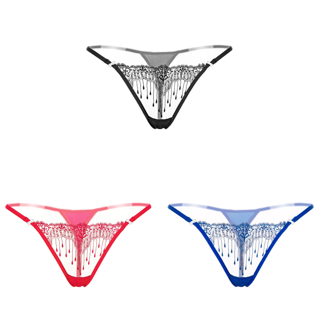 Sheer Embroidered Mesh Thong