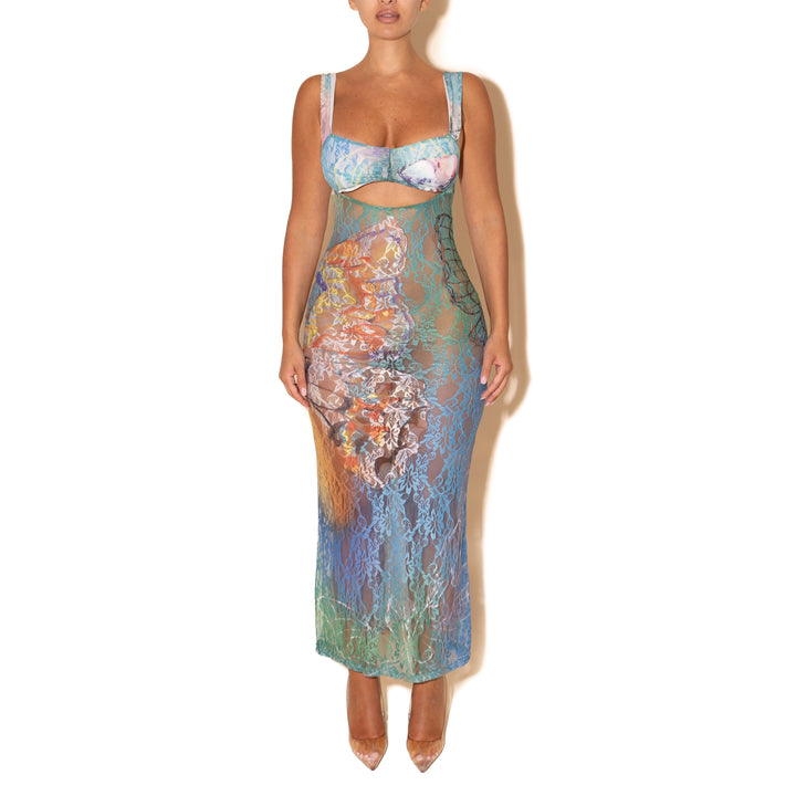 Butterfly Lace Backless Bodycon Dress