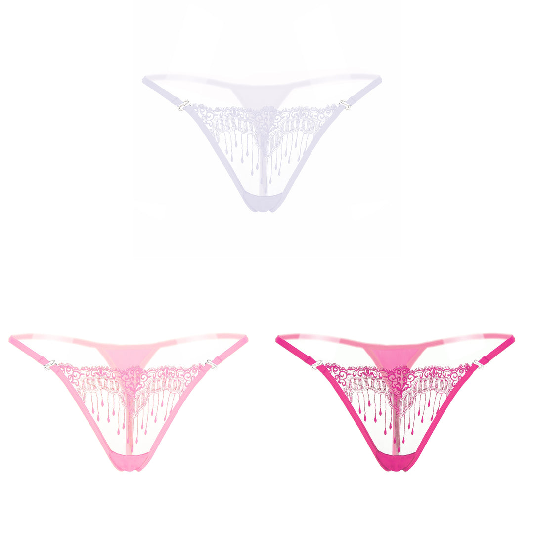 Sheer Embroidered Mesh Thong