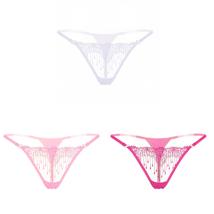 Sheer Embroidered Mesh Thong