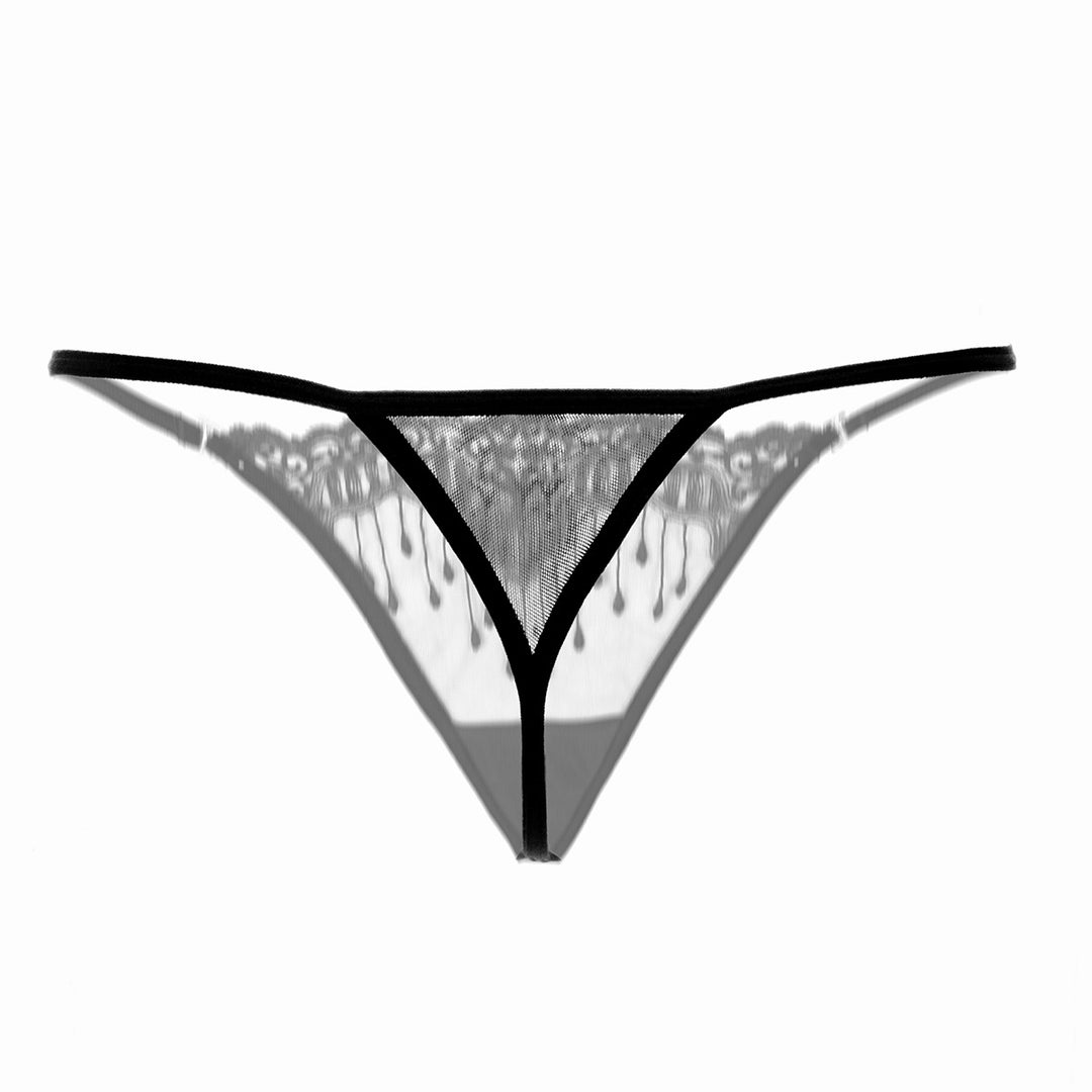 Sheer Embroidered Mesh Thong