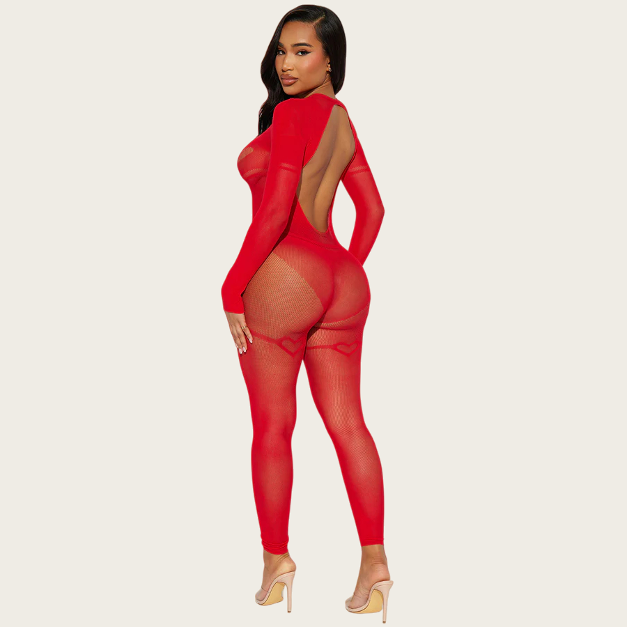 Sheer Desire Cutout Catsuit