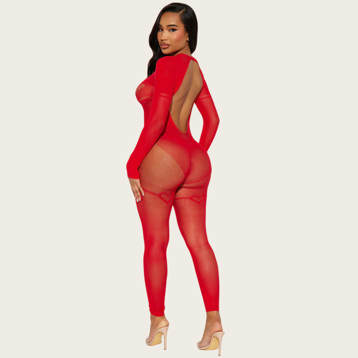 Sheer Desire Cutout Catsuit