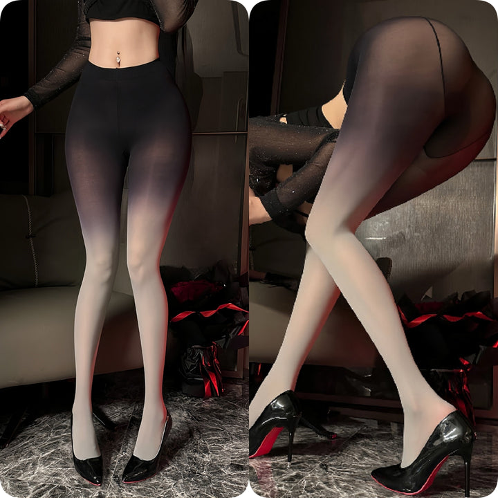 Gradient Sheer Sexy Pantyhose