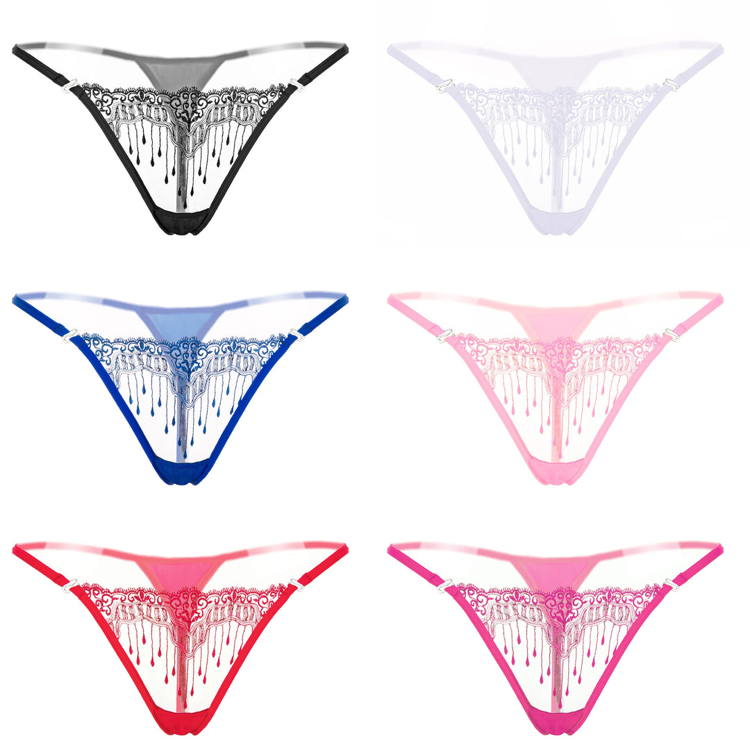 Sheer Embroidered Mesh Thong