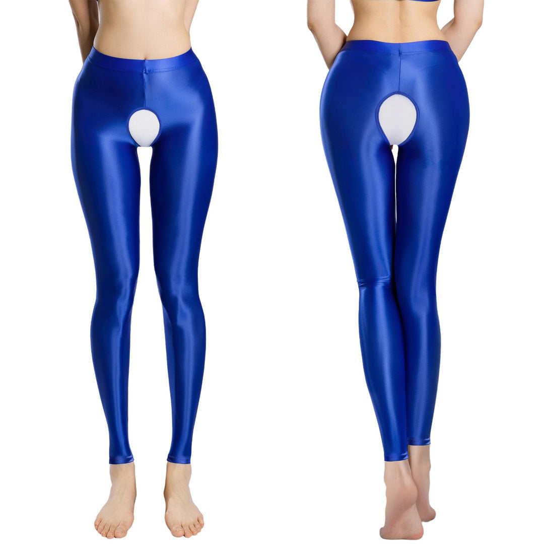 Sheer Gloss Sculpting High Stretch Leggings