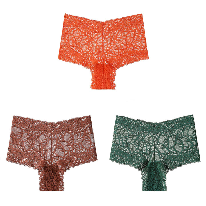 Sexy Lace High-Waisted Panties