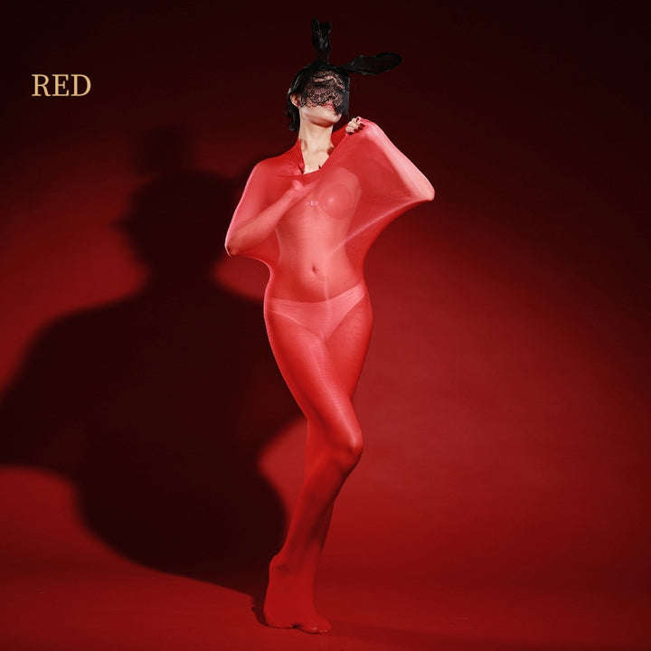 Glossy Sheer Full-Body Encasing Stocking Bodysuit